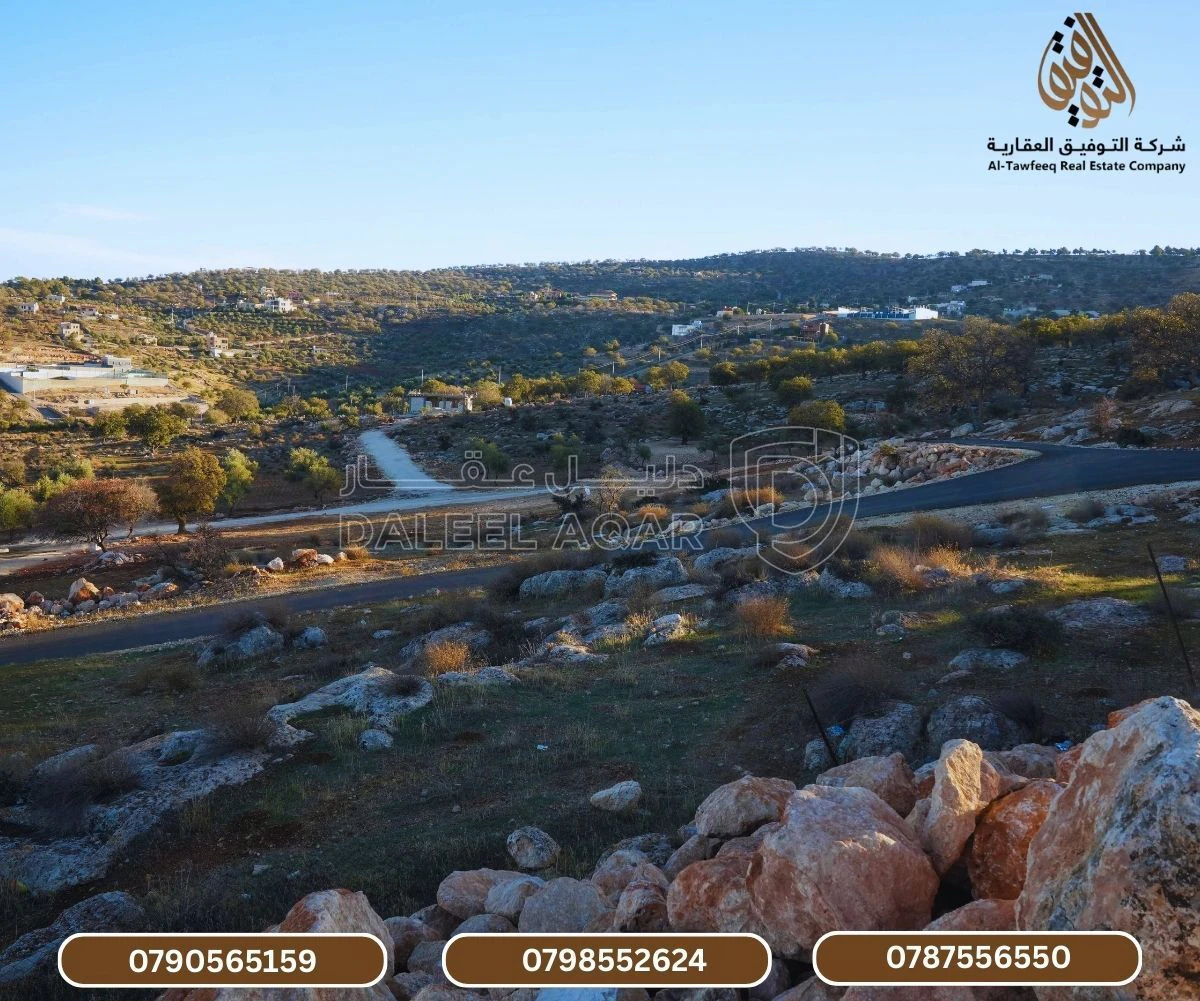 أرض في العالوك - منطقة مزارع  - 32,000 دأ - صورة 1