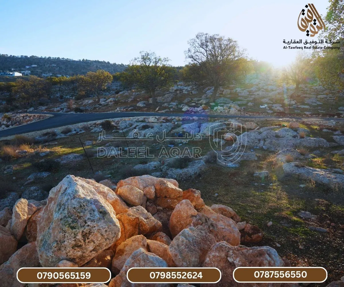 أرض في العالوك - منطقة مزارع  - 32,000 دأ - صورة 1