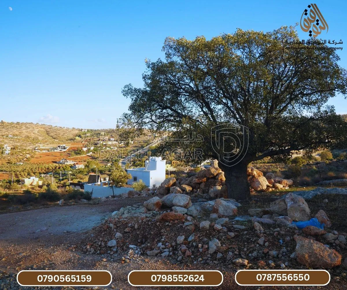 أرض في العالوك - منطقة مزارع  - 32,000 دأ - صورة 1