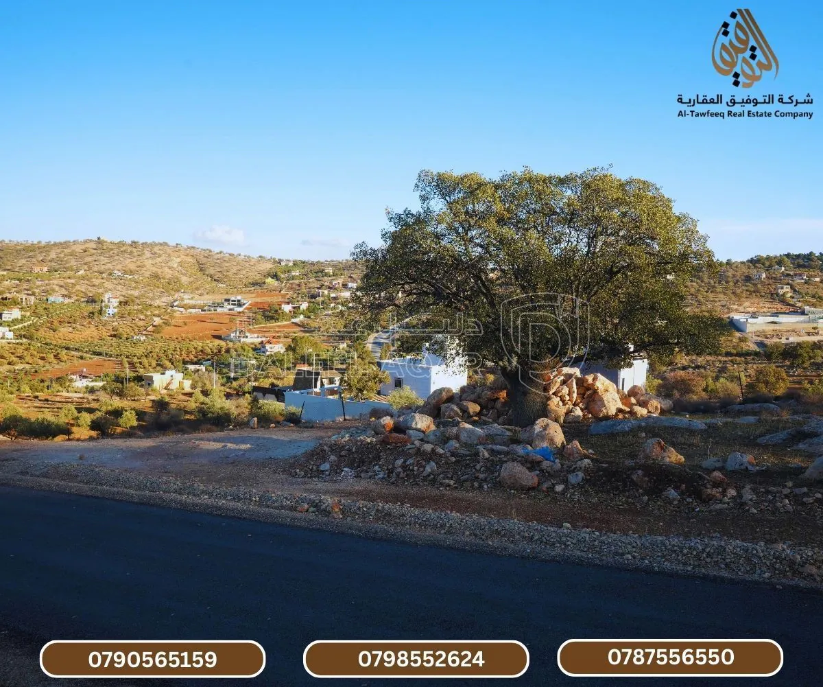 أرض في العالوك - منطقة مزارع  - 32,000 دأ - صورة 1