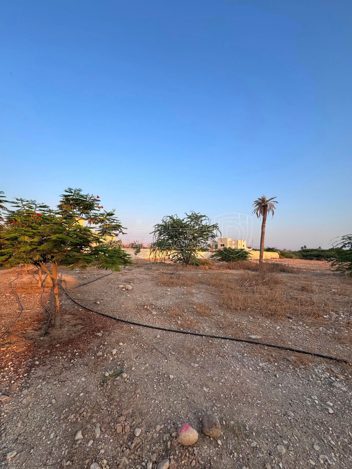أرض في الشونة الجنوبية - 31,680 دأ - صورة 1