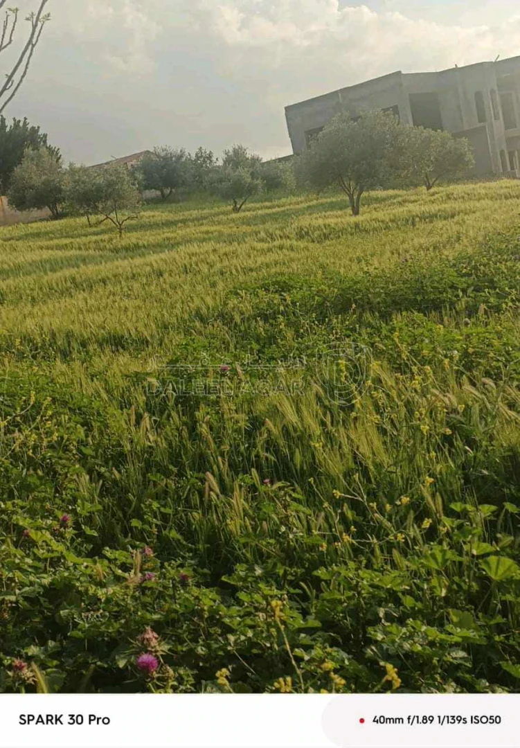 أرض في عمان ناعور حوض ام عطره - 100,000 دأ - صورة 1
