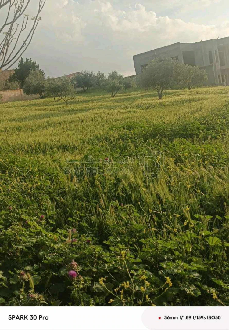 أرض في عمان ناعور حوض ام عطره - 100,000 دأ - صورة 1