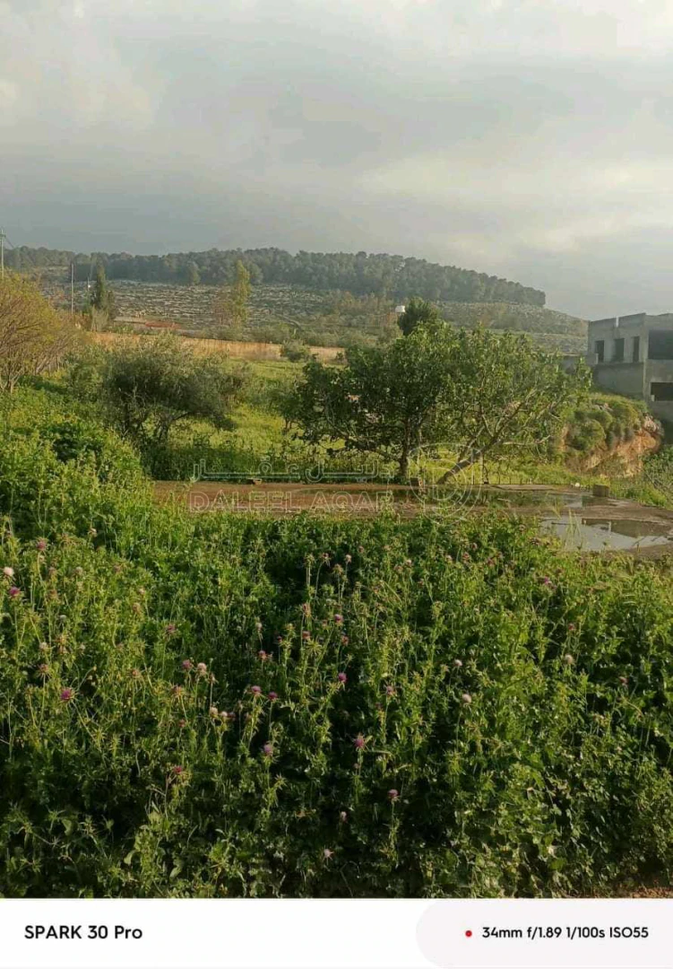 أرض في عمان ناعور حوض ام عطره - 100,000 دأ - صورة 1