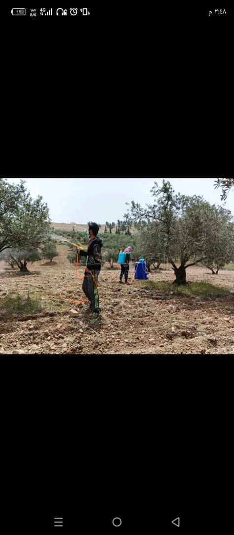 مزرعة/شاليه في المفرق/ عين بني حسن - 95,000 دأ - صورة 1