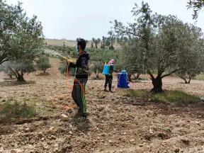 مزرعة/شاليه في المفرق/ عين بني حسن - 120,000 دأ - صورة NaN