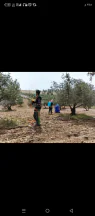 مزرعة/شاليه في المفرق/ عين بني حسن - 120,000 دأ - صورة NaN