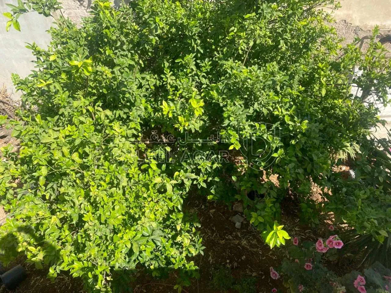 فيلا/منزل في خلف محكمة شمال عمان  - 320,000 دأ - صورة 1
