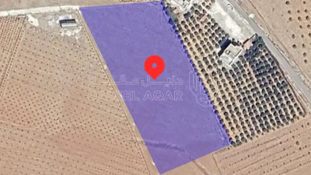 أرض - عمان  الجيزه خلف الجامعه الامريكيه  - 150000 دأ