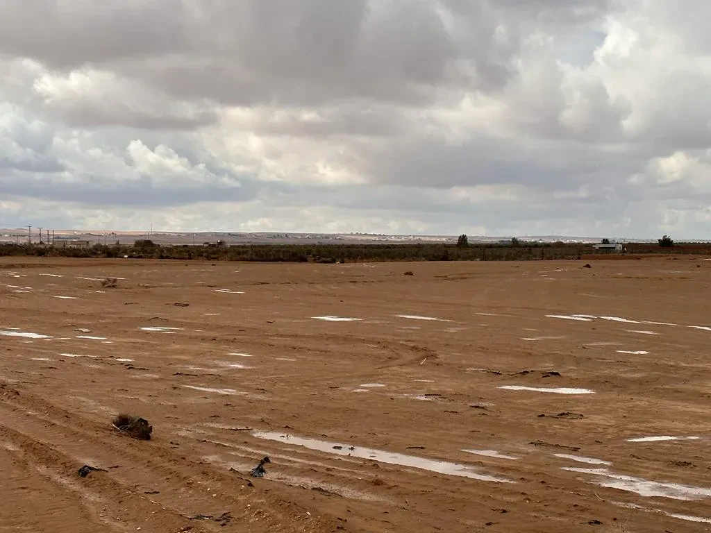 أرض في مشروع أرض المطار- جنوب عمان- الحمام الشرقي - 7,000 دأ - صورة 1