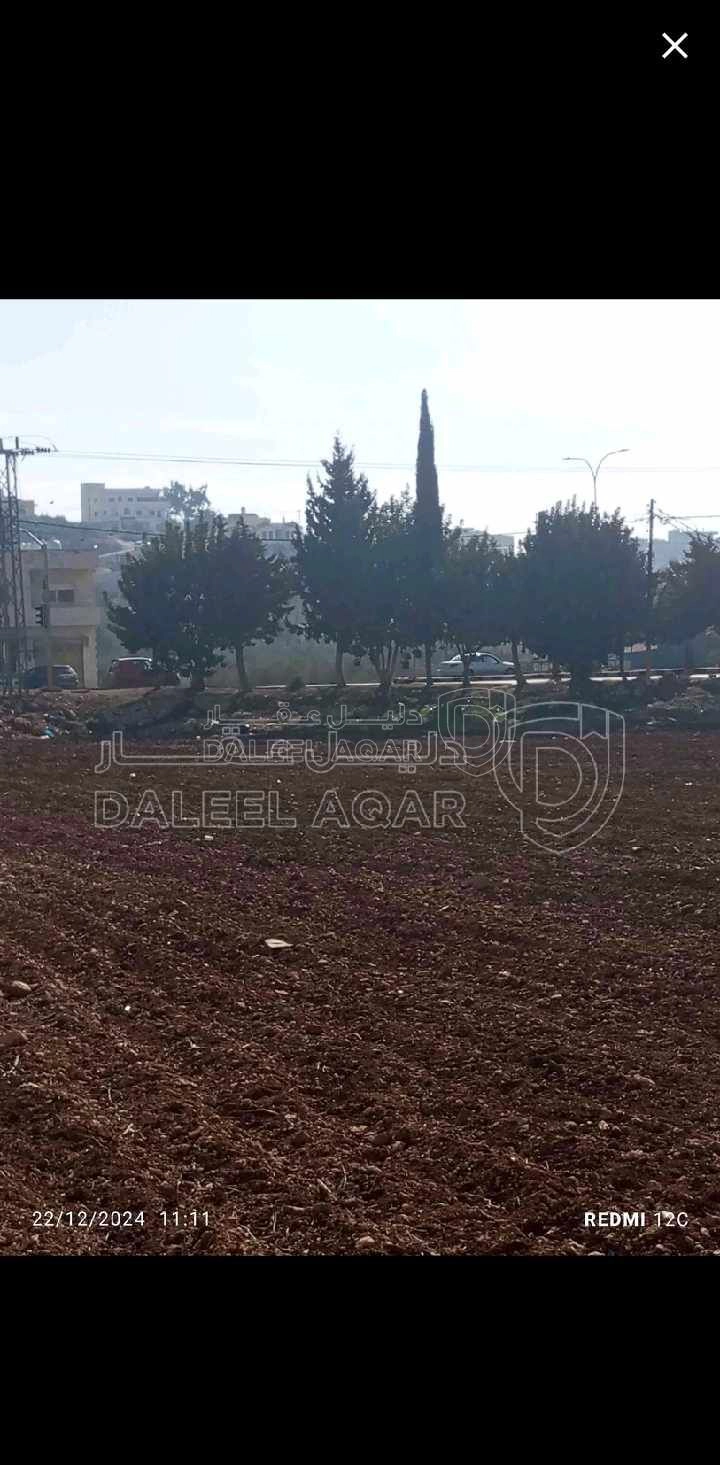 أرض في حسبان/مقابل مبنى البلدية السابق - 285,000 دأ - صورة 1