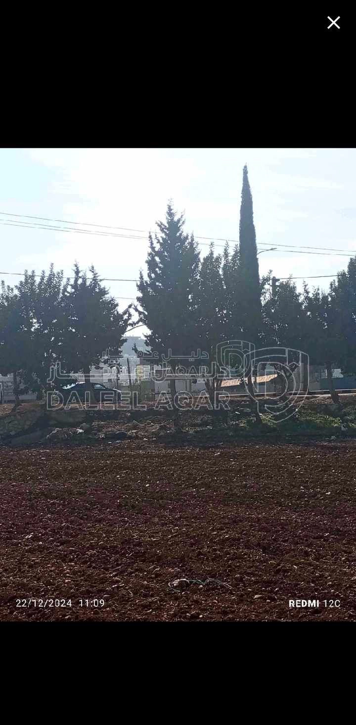 أرض في حسبان/مقابل مبنى البلدية السابق - 285,000 دأ - صورة 1
