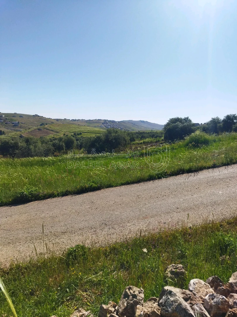 أرض في ارض للبيع - 57,700 دأ - صورة 1