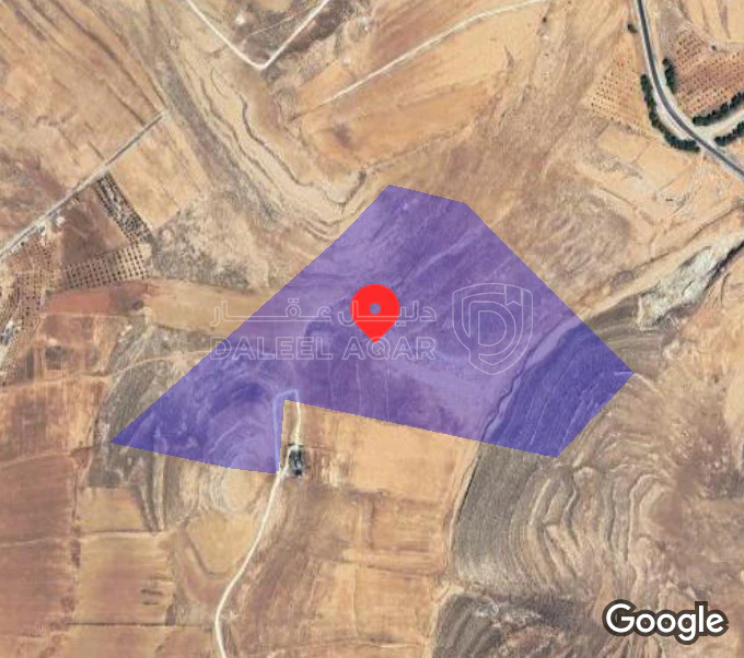 أرض في الطفيلة  - 35,000 دأ - صورة 1