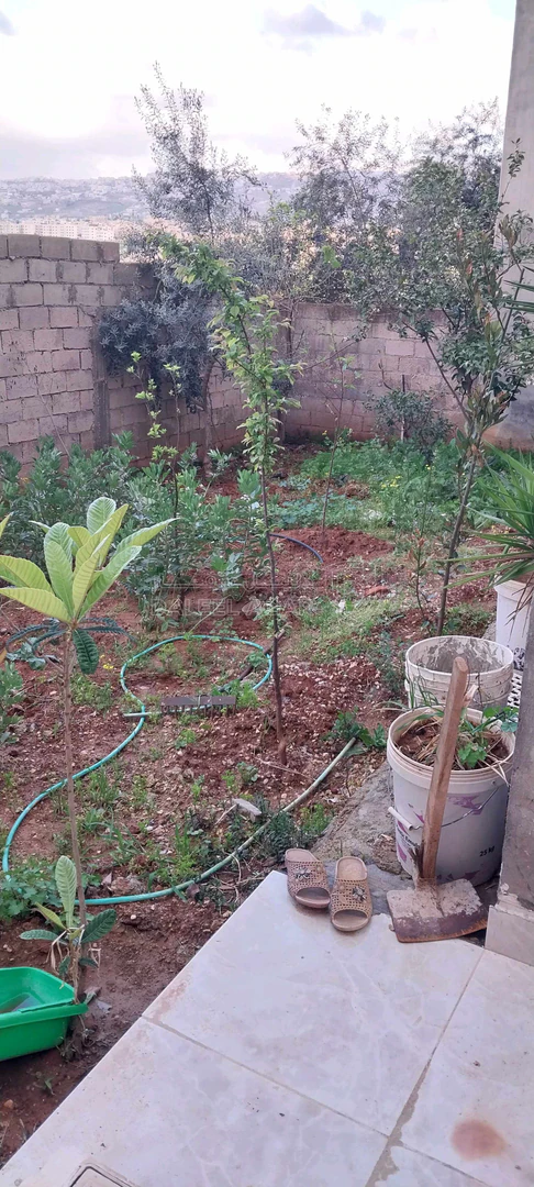 فيلا/منزل في عين الباشا إسكان الفروسية  - 100,000 دأ - صورة 1