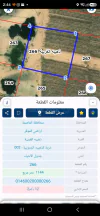 أرض في الذهيبه الغربيه . خريبه الذهيبه الجنوبيه  - 21,000 دأ - صورة NaN