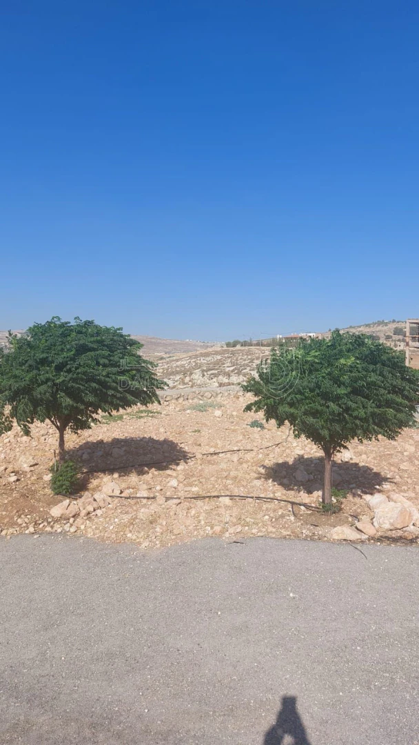 أرض في المشقر حوض ابو نخلة - 85,000 دأ - صورة 1