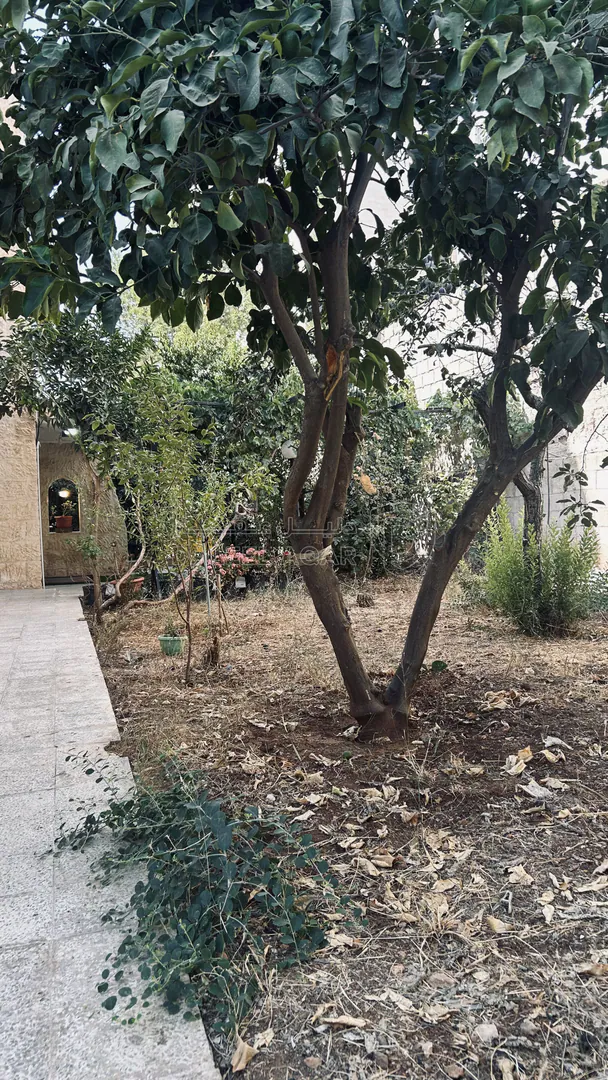 فيلا/منزل في عمان البنيات بجانب مدارس المحور - 430,000 دأ - صورة 5