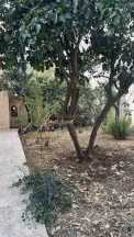 فيلا/منزل في عمان البنيات بجانب مدارس المحور - 430,000 دأ - صورة NaN