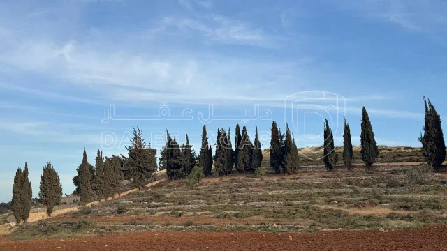 أرض في بلعاس - يبعد 6 دقائق عن طريق المطار  - 179,900 دأ - صورة 1