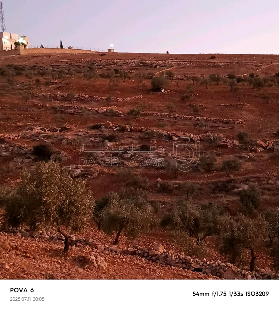 أرض في جرش قفقفا - 23,000 دأ - صورة 1
