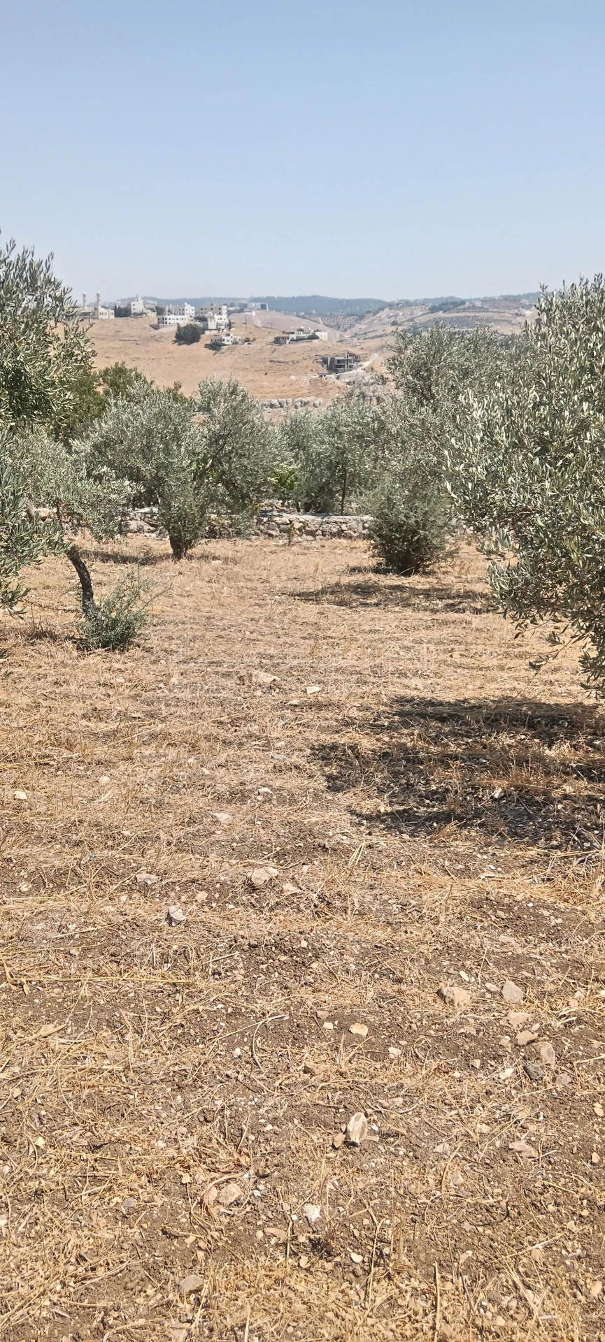 أرض في السلط نقب الدبور الفزرة - 190,000 دأ - صورة 1