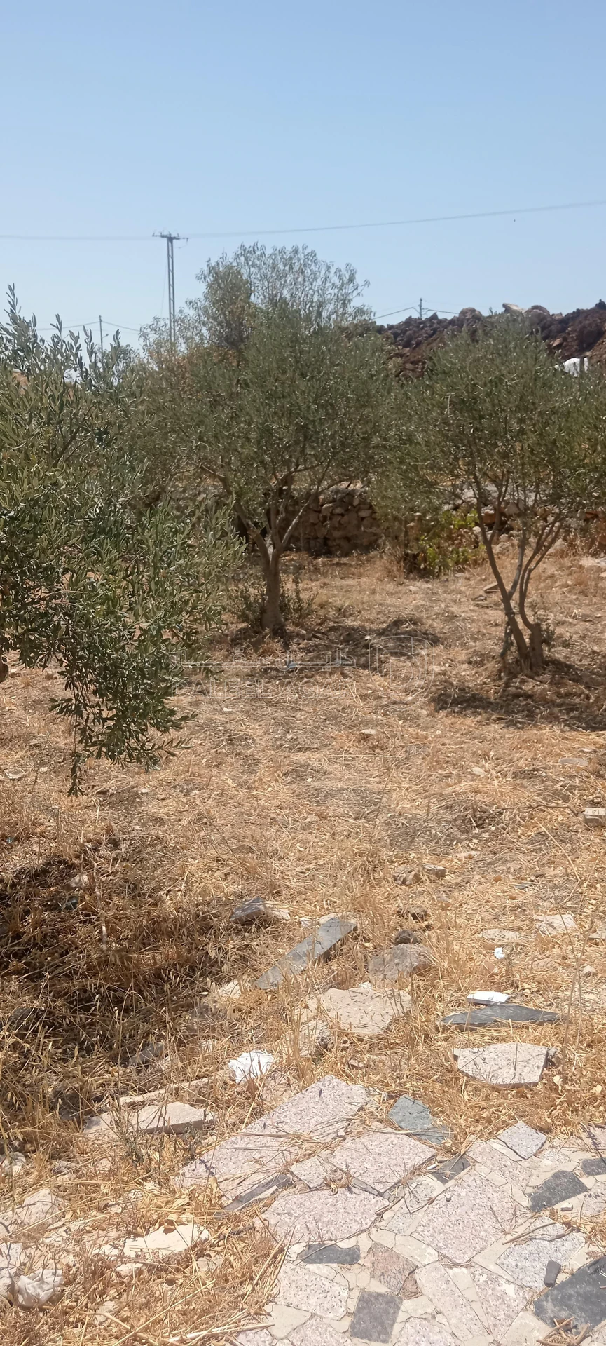 أرض في السلط نقب الدبور الفزرة - 190,000 دأ - صورة 1