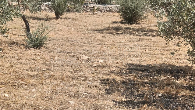 أرض في السلط نقب الدبور الفزرة - 190,000 دأ - صورة NaN