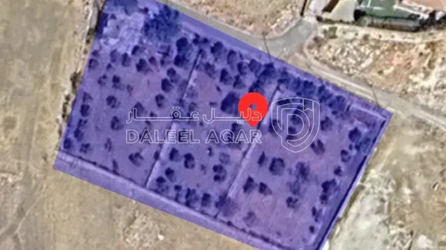 أرض - السلط نقب الدبور الفزرة - 190000 دأ