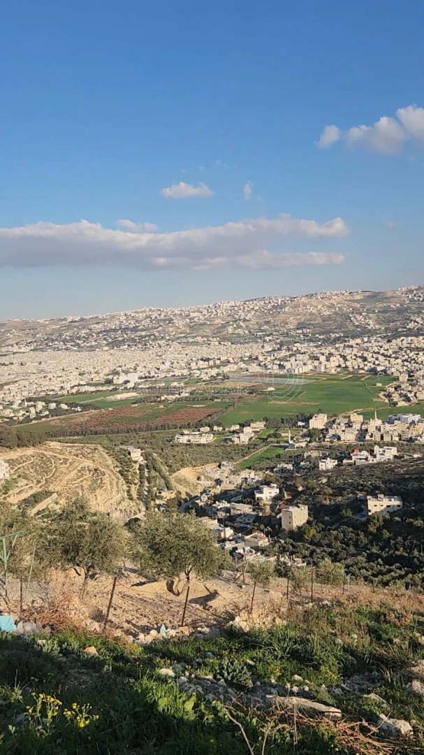 أرض في ام الدنانير قرب مطعم جبل حي القصير  - 45,000 دأ - صورة 1
