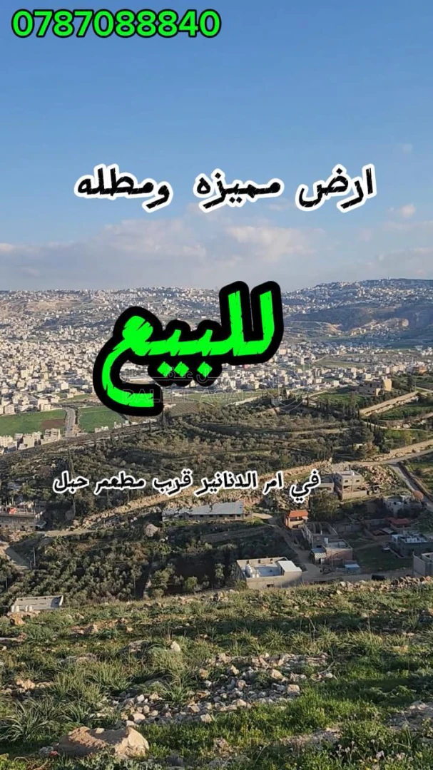أرض في ام الدنانير قرب مطعم جبل حي القصير  - 45,000 دأ - صورة 1