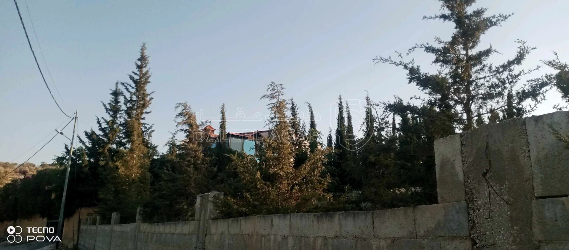 أرض في أرض للبيع في صروت مميزه جدا مشغولة بالكامل ومسلسلة - 59,000 دأ - صورة 8