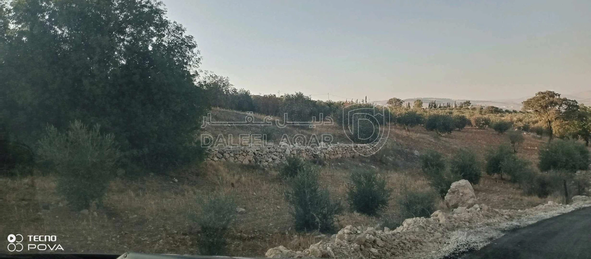 أرض في أرض للبيع في صروت مميزه جدا مشغولة بالكامل ومسلسلة - 59,000 دأ - صورة 4
