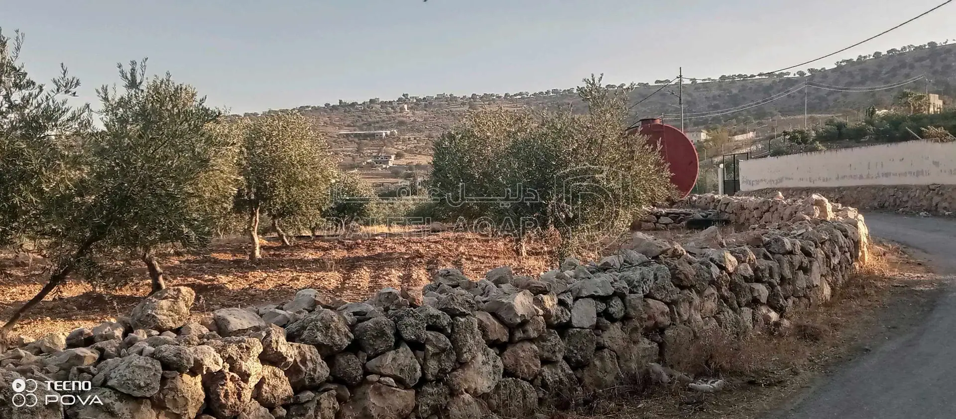 أرض في أرض للبيع في صروت مميزه جدا مشغولة بالكامل ومسلسلة - 59,000 دأ - صورة 11