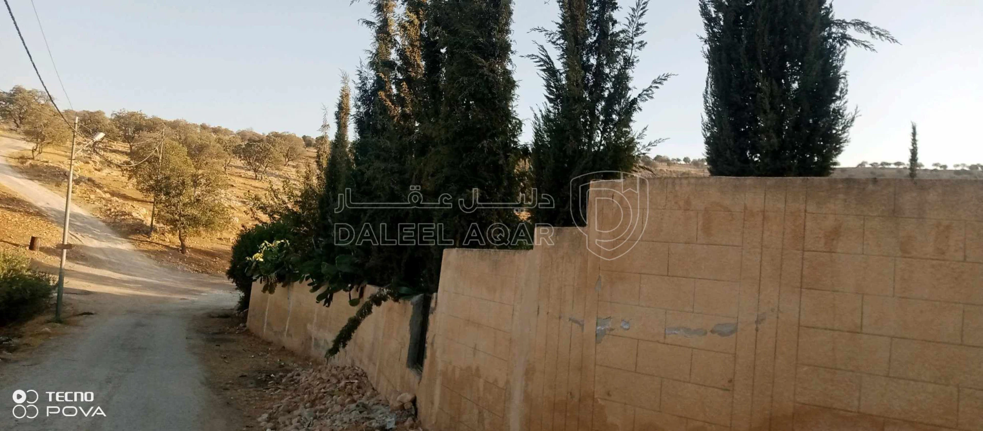 أرض في أرض للبيع في صروت مميزه جدا مشغولة بالكامل ومسلسلة - 59,000 دأ - صورة 6