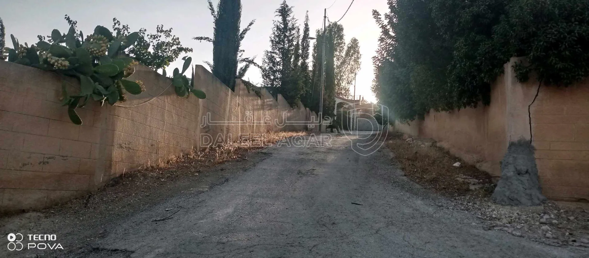 أرض في أرض للبيع في صروت مميزه جدا مشغولة بالكامل ومسلسلة - 59,000 دأ - صورة 7