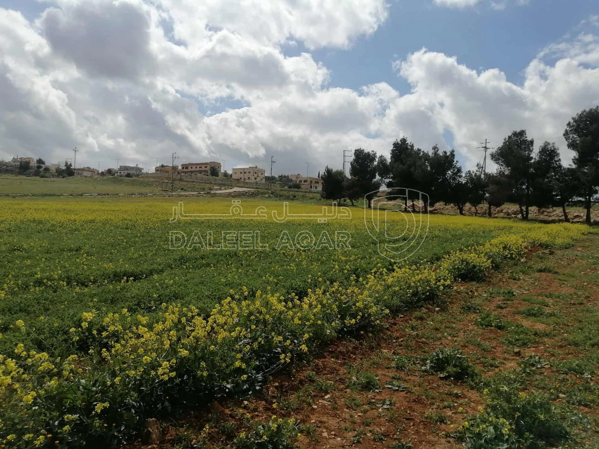 أرض في المفرق رحاب حوض الوسايا - 60,000 دأ - صورة 1