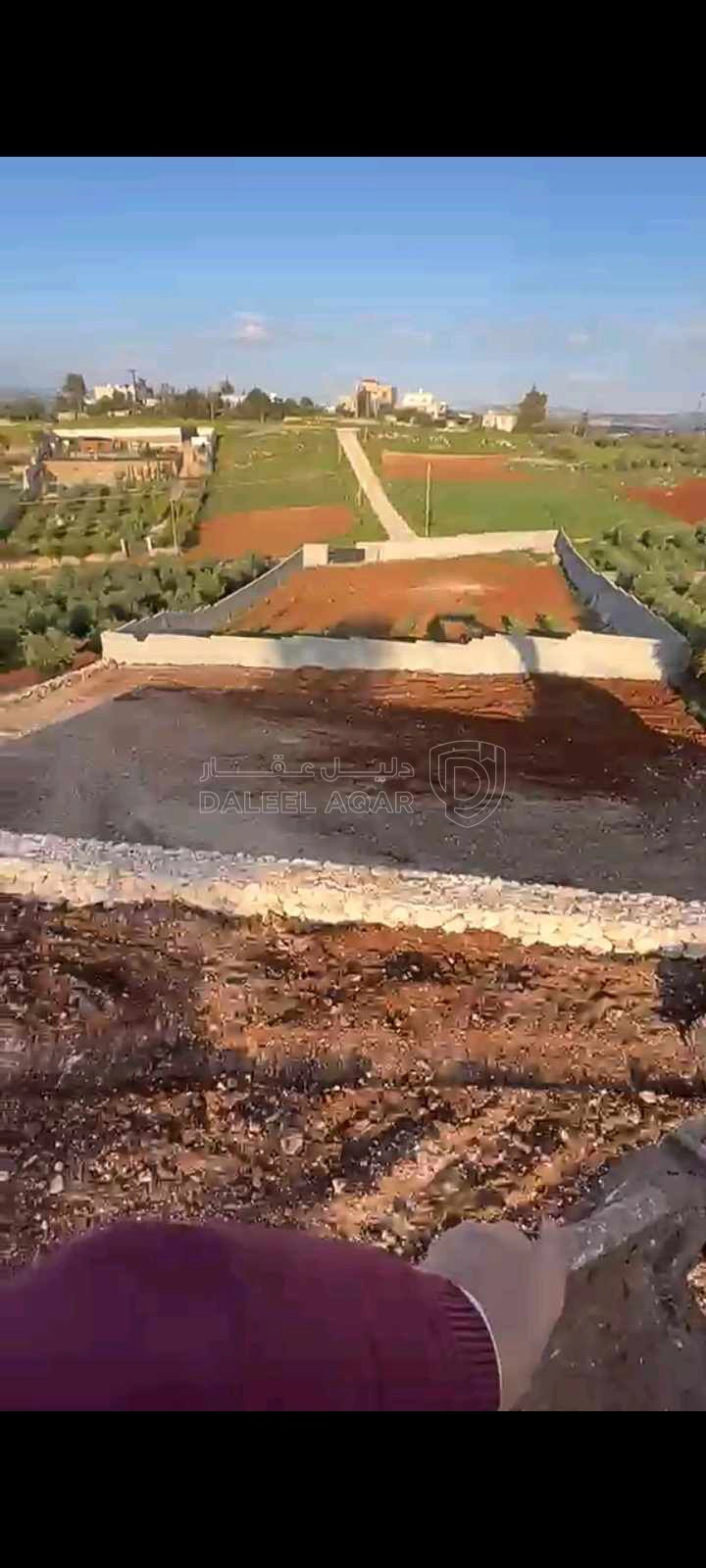 أرض في الصبيحي..سيحان - 70,000 دأ - صورة 1