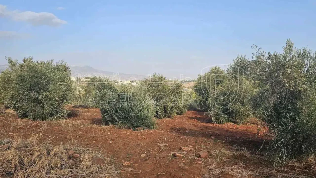 أرض - أرض للبيع  - 75000 دأ