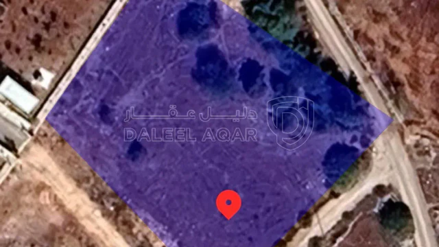 أرض في عجلون عين جنا - 46,000 دأ - صورة 1