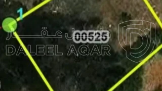 أرض - السلط -شفا العامرية  - 95000 دأ