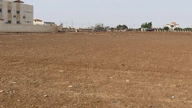 أرض - ارض للبيع في محافظة اربد في مدينة الرمثا  - 125000 دأ