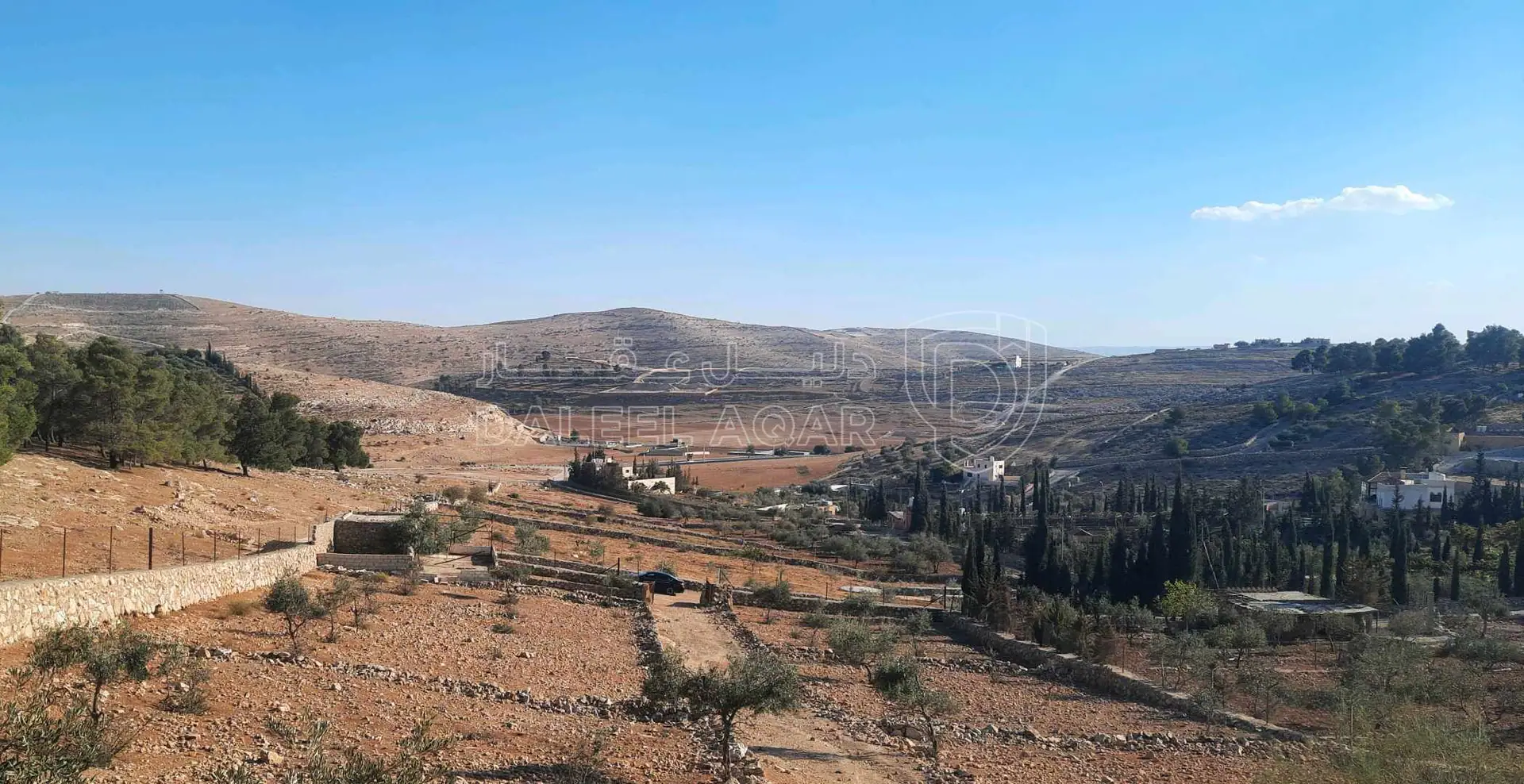 أرض في ارض مزرعة للبيع حمامه المفرق قرب نادرة  - 35,000 دأ - صورة 1