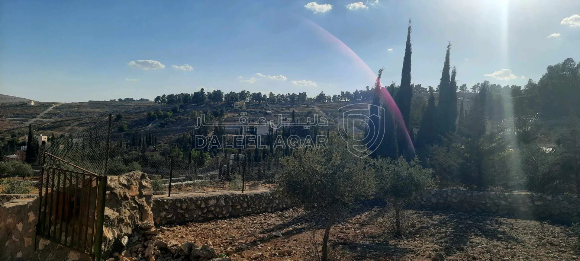 أرض في ارض مزرعة للبيع حمامه المفرق قرب نادرة  - 35,000 دأ - صورة 1