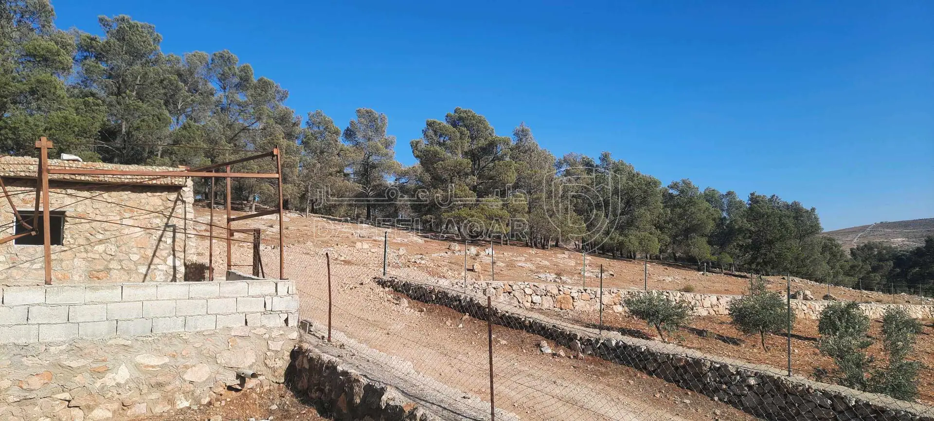 أرض في ارض مزرعة للبيع حمامه المفرق قرب نادرة  - 35,000 دأ - صورة 1