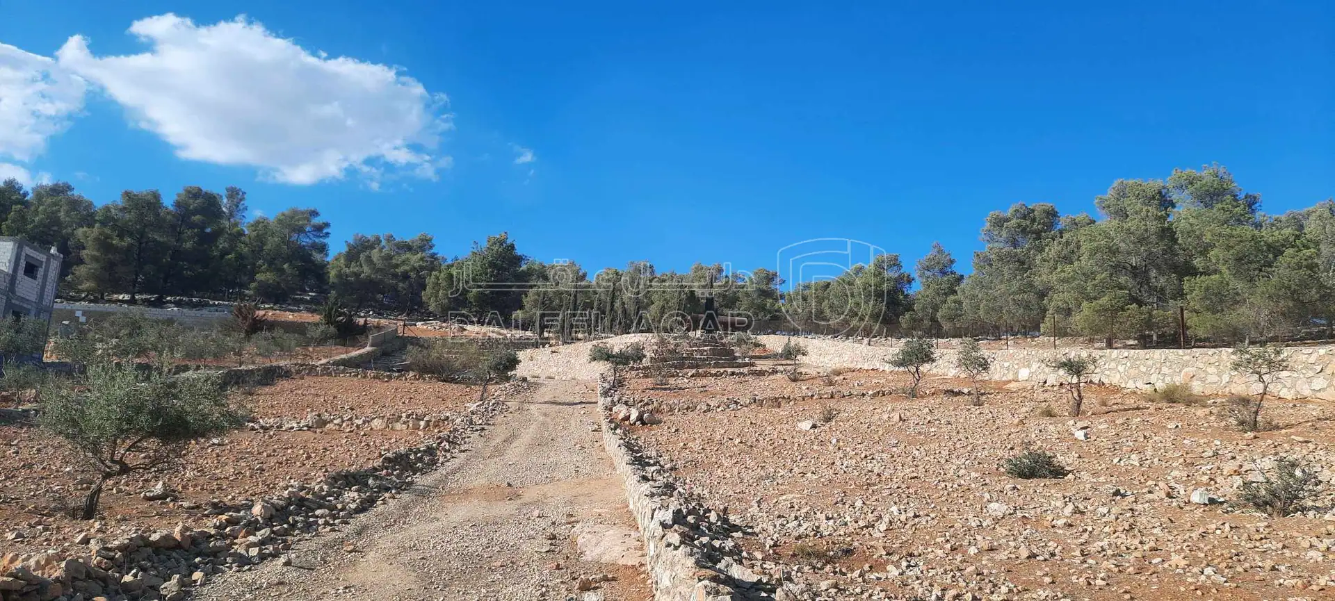 أرض في ارض مزرعة للبيع حمامه المفرق قرب نادرة  - 35,000 دأ - صورة 1