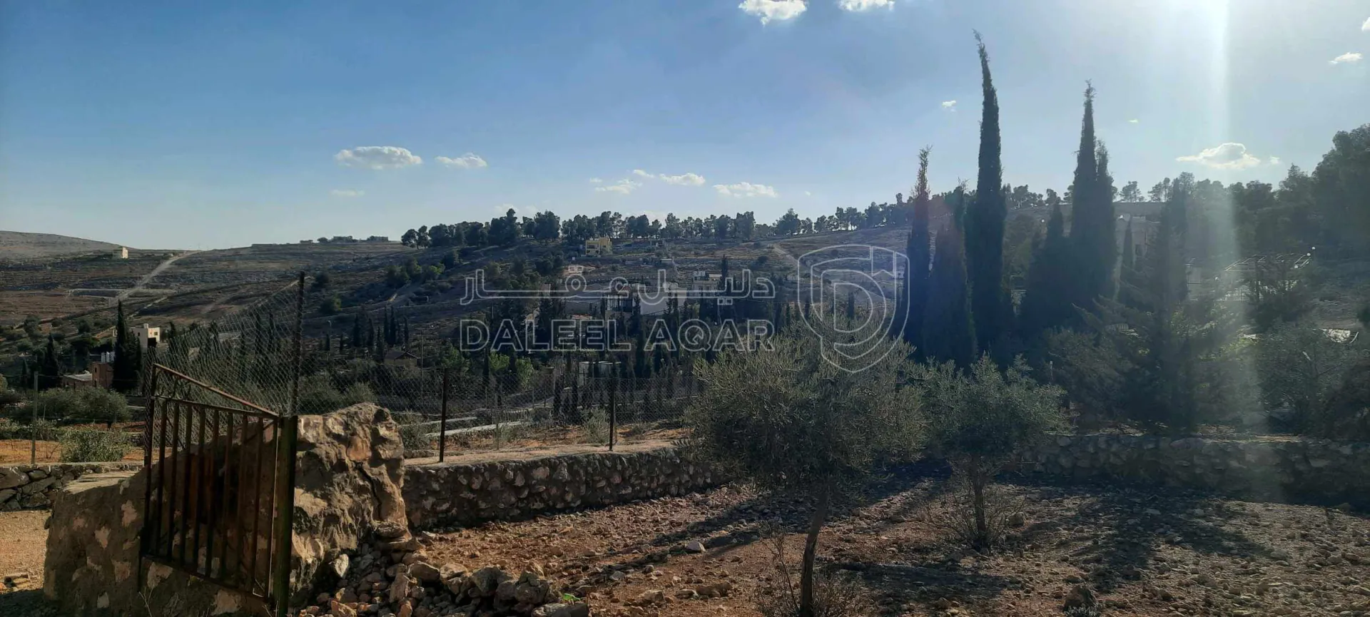 أرض في ارض مزرعة للبيع حمامه المفرق قرب نادرة  - 35,000 دأ - صورة 1