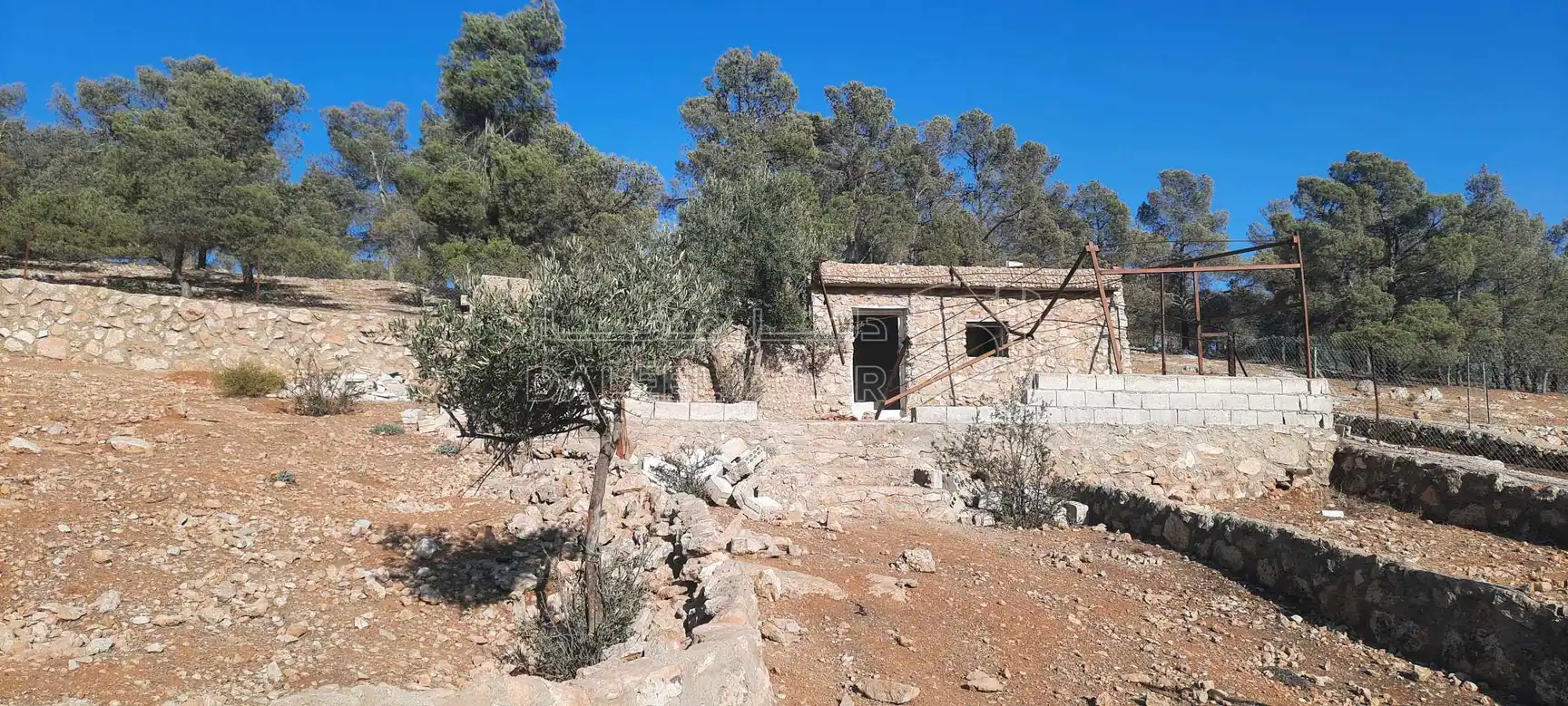 أرض في ارض مزرعة للبيع حمامه المفرق قرب نادرة  - 35,000 دأ - صورة 1