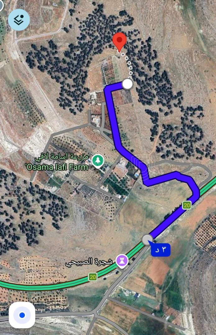 أرض في ارض مزرعة للبيع حمامه المفرق قرب نادرة  - 35,000 دأ - صورة 1