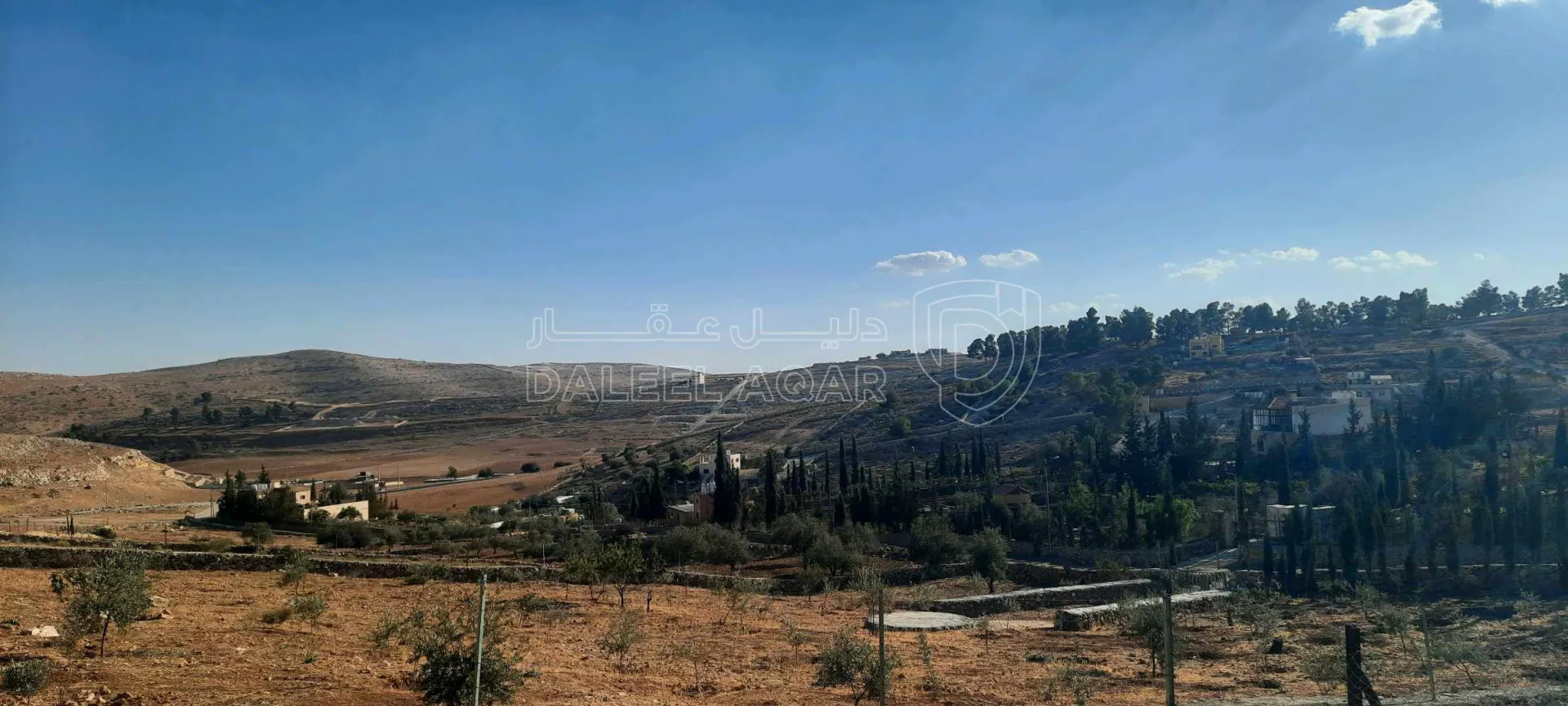 أرض في ارض مزرعة للبيع حمامه المفرق قرب نادرة  - 35,000 دأ - صورة 1